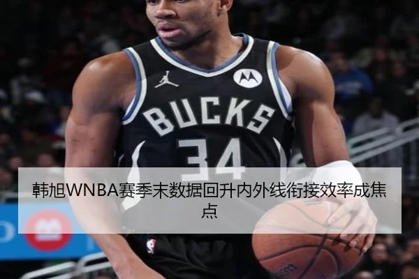 韩旭WNBA赛季末数据回升内外线衔接效率成焦点