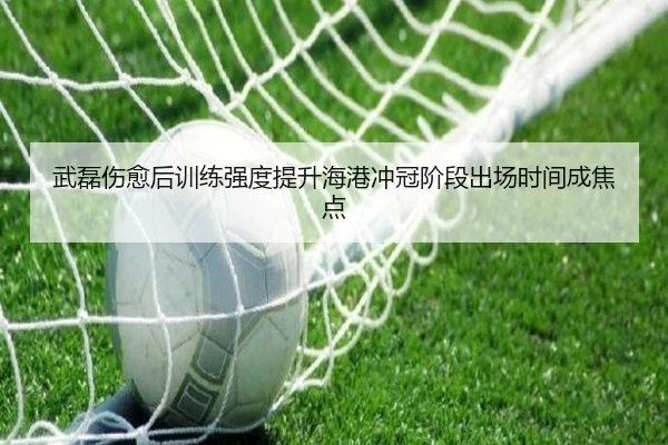 武磊伤愈后训练强度提升海港冲冠阶段出场时间成焦点